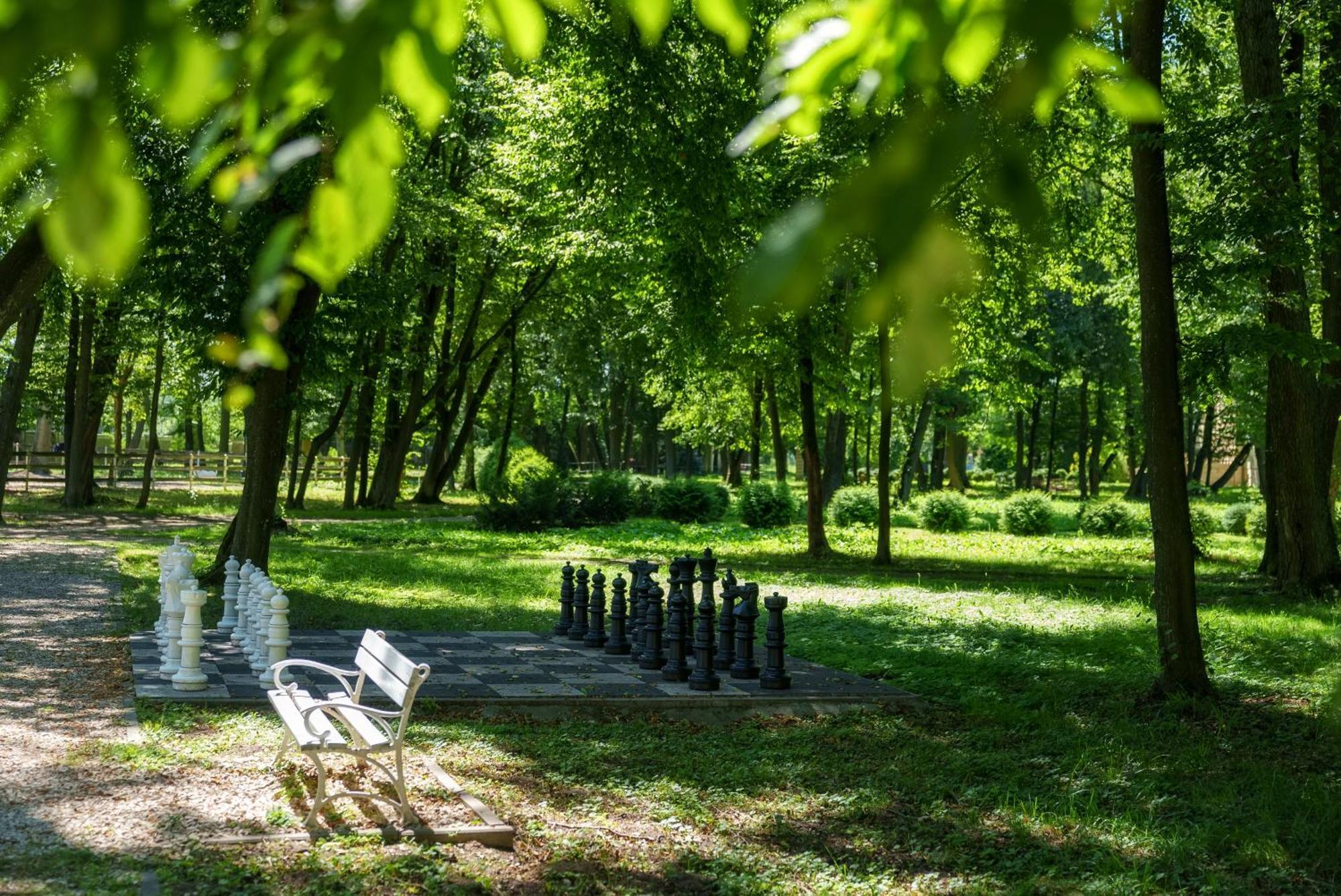 Hotel Palac Alexandrinum Krubki Buitenkant foto